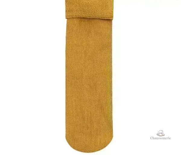 Chaussettes Cachemire Femme - vue 7
