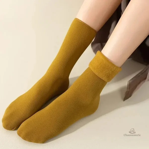 Chaussettes Cachemire Femme - vue 24
